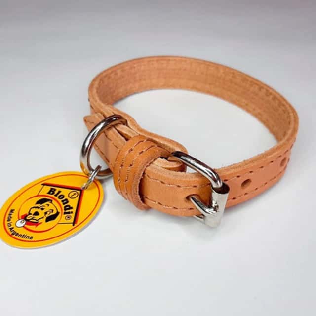 ARNES CON MANIJA PERRO MEDIANO P+