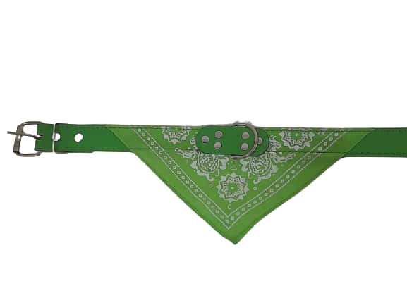 COLLAR CON PAÑUELO Nº3