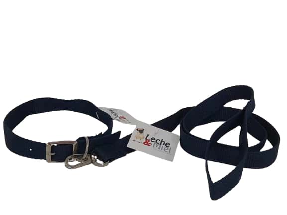 CONJUNTO COLLAR Y CORREA NYLON T2