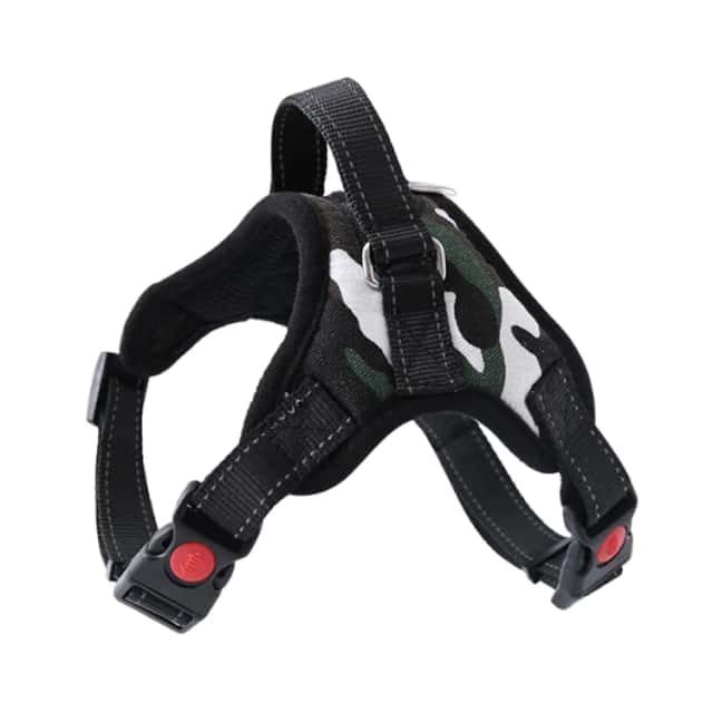 CORREA EXTENSIBLE 5MTS P+