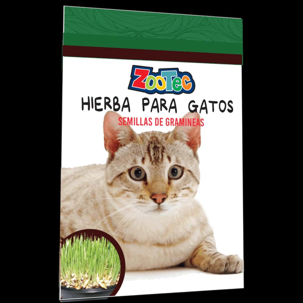 HIERBA GATOS