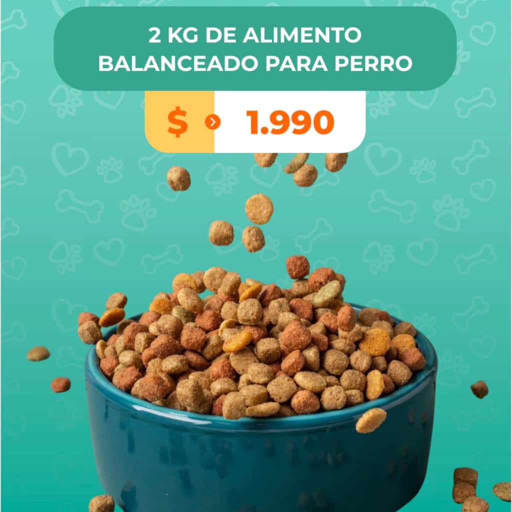 PROMO LIWUE PERRO AD X 2KG