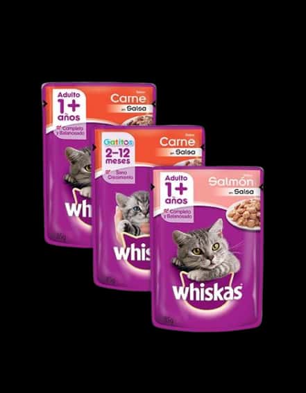 SALSA WHISKAS ADULTO CARNE X85G