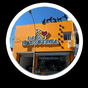 Sucursal Sucursal Concepción