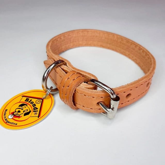 ARNES CON MANIJA PERRO GRANDE P+