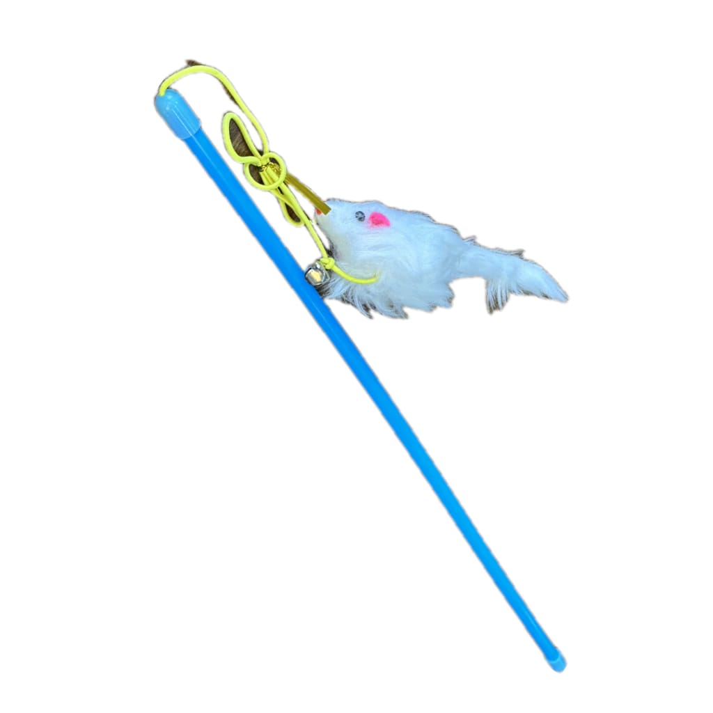 CAÑITA PARA GATO