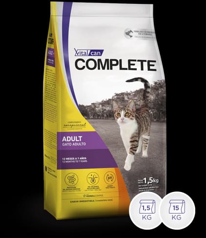 COMPLETE GATITO X 100 GRS