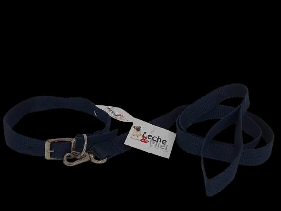 CONJUNTO COLLAR Y CORREA NYLON T3