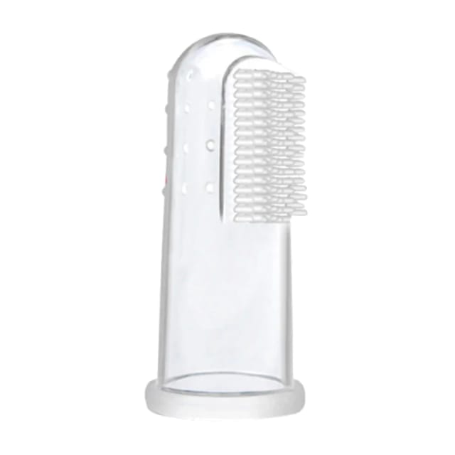 CORREA EXTENSIBLE 3MTS P+