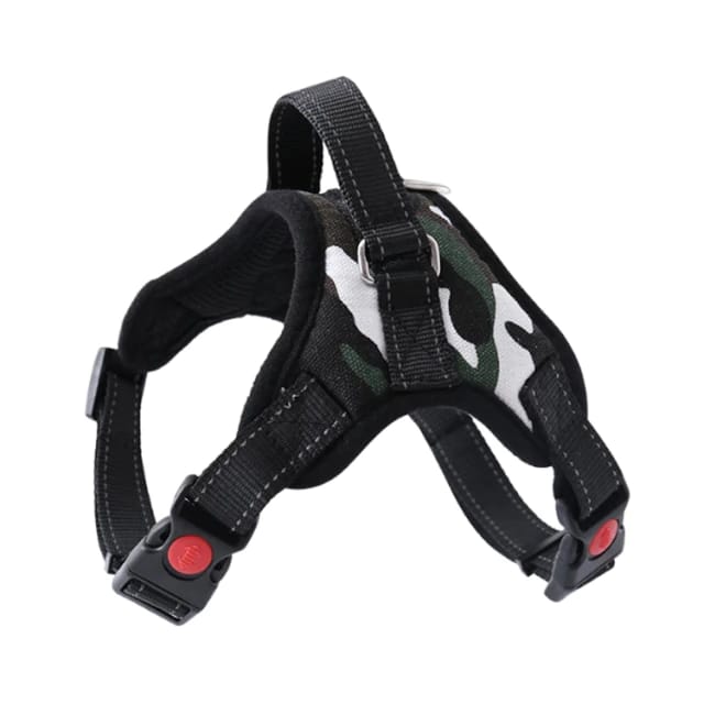 CORREA EXTENSIBLE 5MTS P+