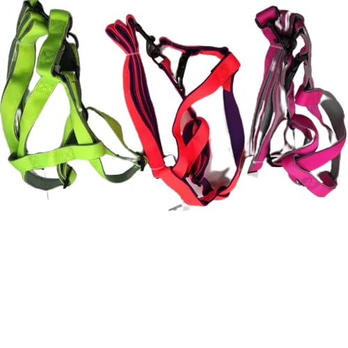 CORREA TRENZADA CON RESORTE