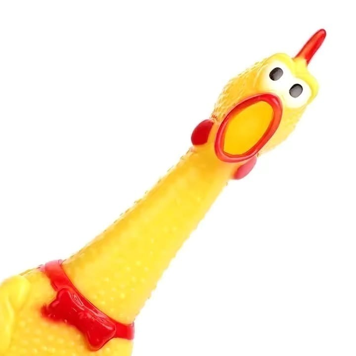 GALLINA CHILLONA L P+