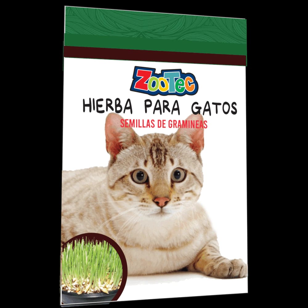 HIERBA GATOS
