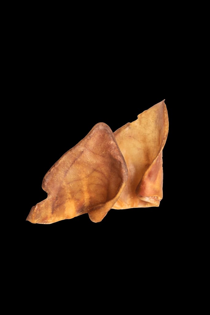 OREJA GROWIS
