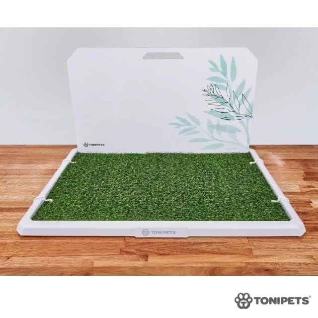 OTOMICINE PLUS GOTAS