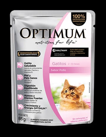 Salsa Optimum Gatitos