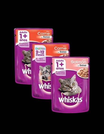 SALSA WHISKAS ADULTO CARNE X85G