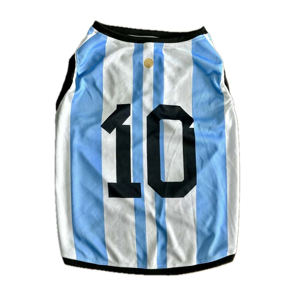 REMERAS FUTBOL Nº 10