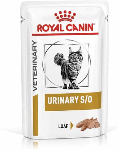 Salsa Royal Canin Gato Gastrointestinal