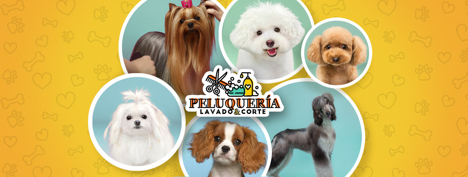 Peluquería canina profesional en sucursales